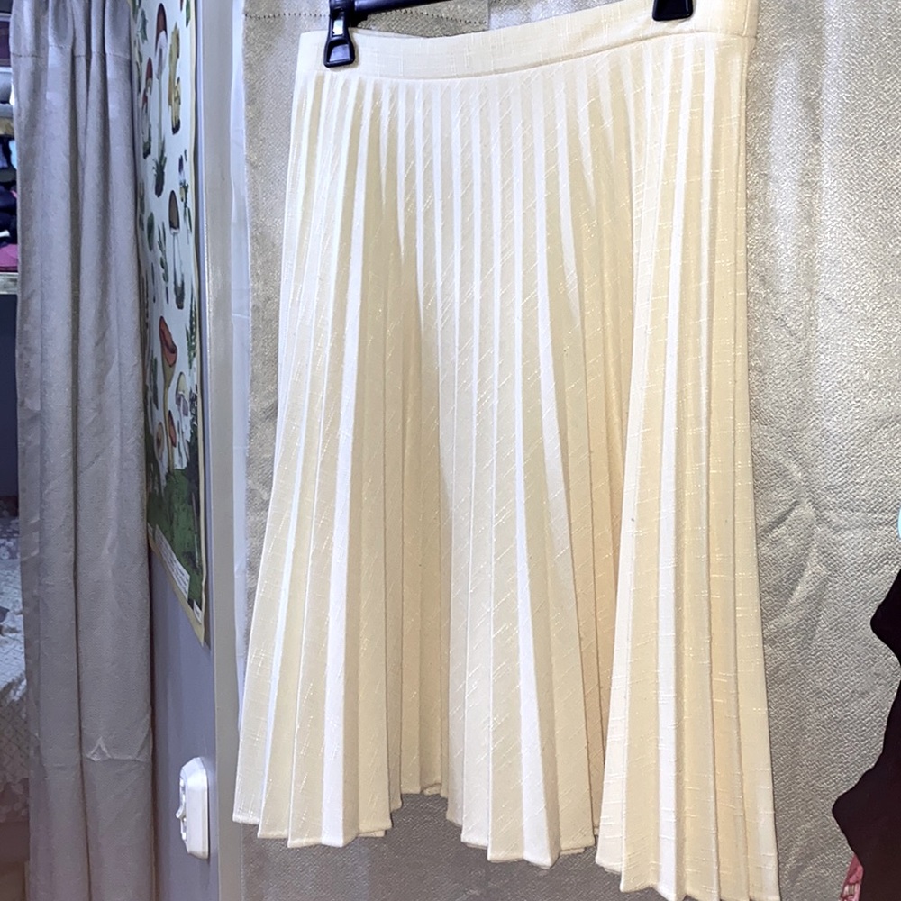 Vintage Accordion Pleated Midi Skirt
